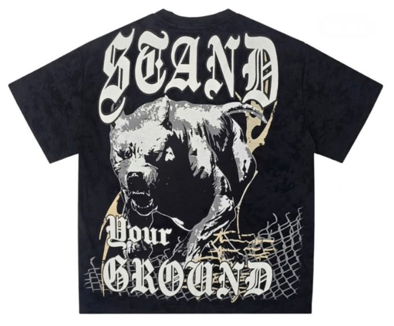 Rare Common Lock Down T-Shirt
