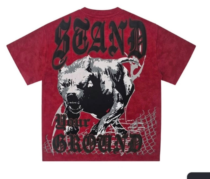 Rare Common Lock Down T-Shirt