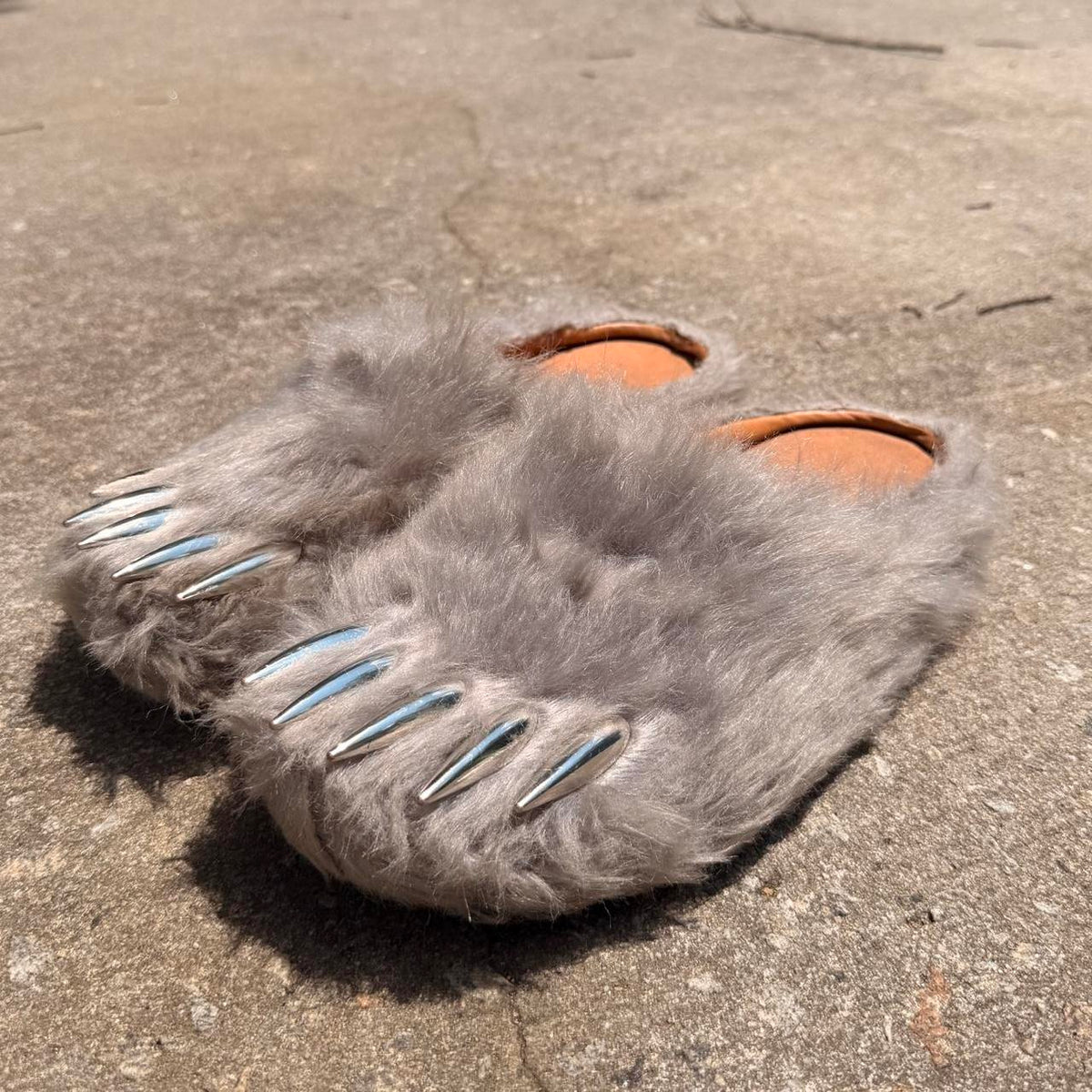 Bear Claw